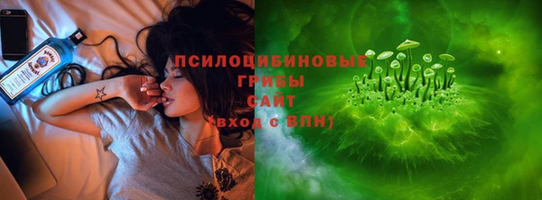 индика Армянск