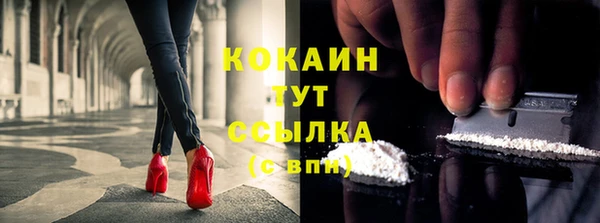 индика Армянск