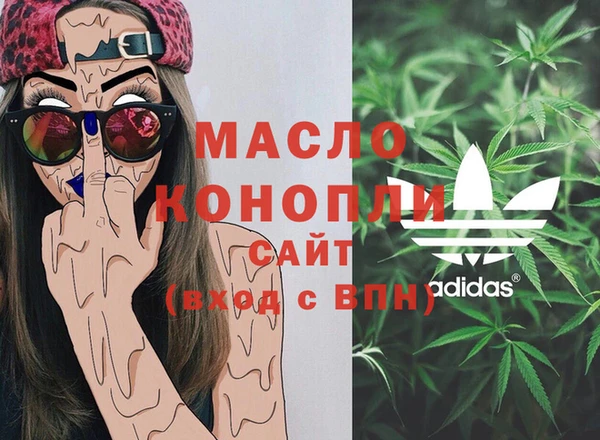 индика Армянск